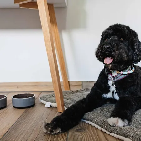 Briwoehnchen Stilvoll Liebevoll Gemuetlich Brilon