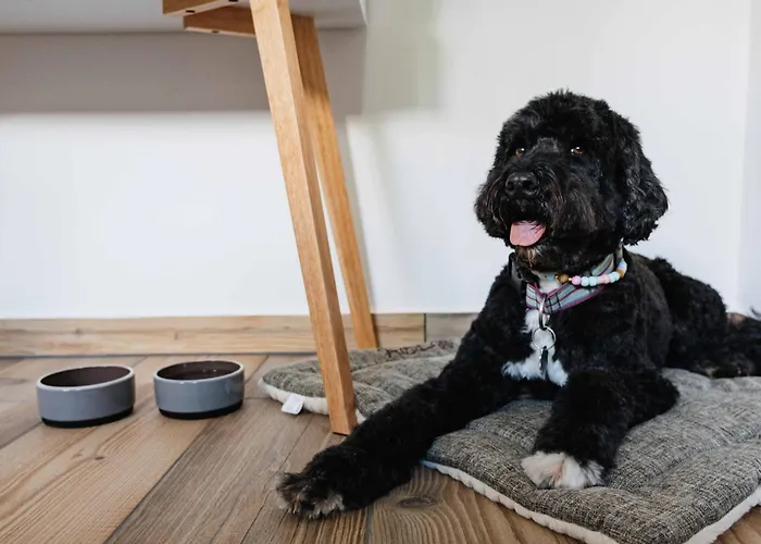 Briwoehnchen Stilvoll Liebevoll Gemuetlich Brilon